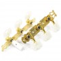 Набор колков для классической гитары Dr. Parts CMH0351/GD