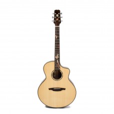 Акустическая гитара Abraham Joshua Love Planet 1.0 (NT)