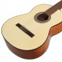 Классическая гитара Cort AC100 SG 