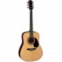 Акустическая гитара Hohner HW-220
