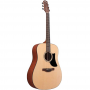 Акустическая гитара Ibanez AAD50