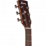 Акустическая гитара Ibanez AW54 OPN