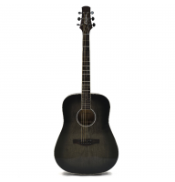 Акустическая гитара Laviere LD-20 BK (TB)