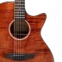 Акустическая гитара Laviere LGA-40C