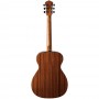 Акустическая гитара Washburn AF5