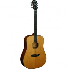 Акустическая гитара Washburn WD160SW