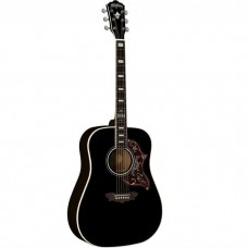 Акустическая гитара Washburn WD2014LTDB