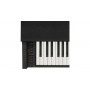 Casio AP-270BK

                                
                                    
                                        
                                            

    

                            
    
                
    

    


            