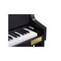 Casio GP-400BK

                                
                                    
                                        
                                            

    

                            
    
                
    

    


            