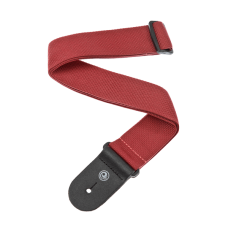 Ремень для гитары Planet Waves Polypropylene PWS101