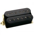 DiMarzio Dual Sound DP101