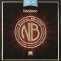 Струны для акустической гитары D'Addario NB1253 12-53