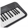 Синтезатор Casio CT-S300 BK