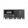 Синтезатор Medeli MK100